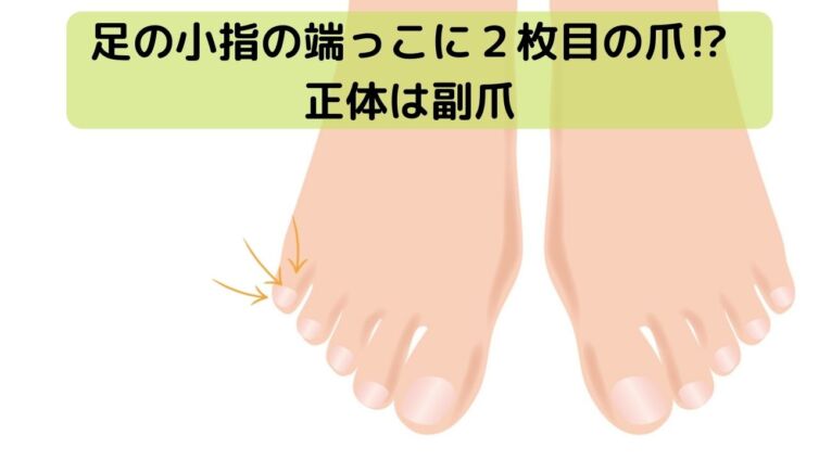 パーフェクトな-プレビューに-しよう-2